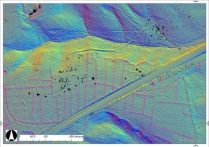 LiDAR scan of Bratley Inclosure by the A31, showing the archaeology. Imahe: New Forest National Park Authority.